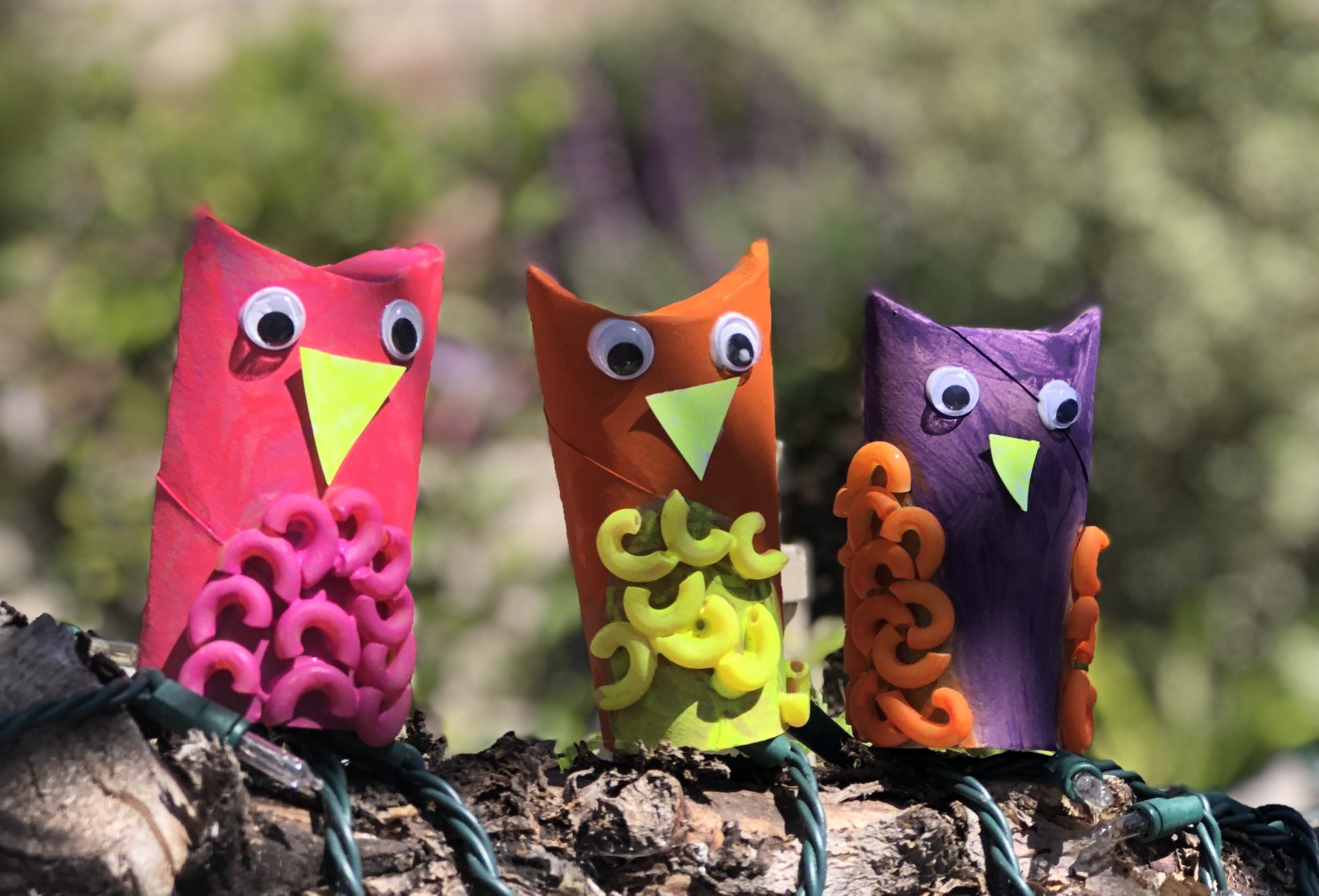 Cute and Easy DIY Upcycled Craft: Macaroni Owl