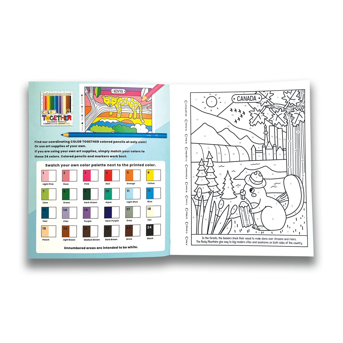 OOLY Color By Numbers Coloring Book - Wonderful World legend page