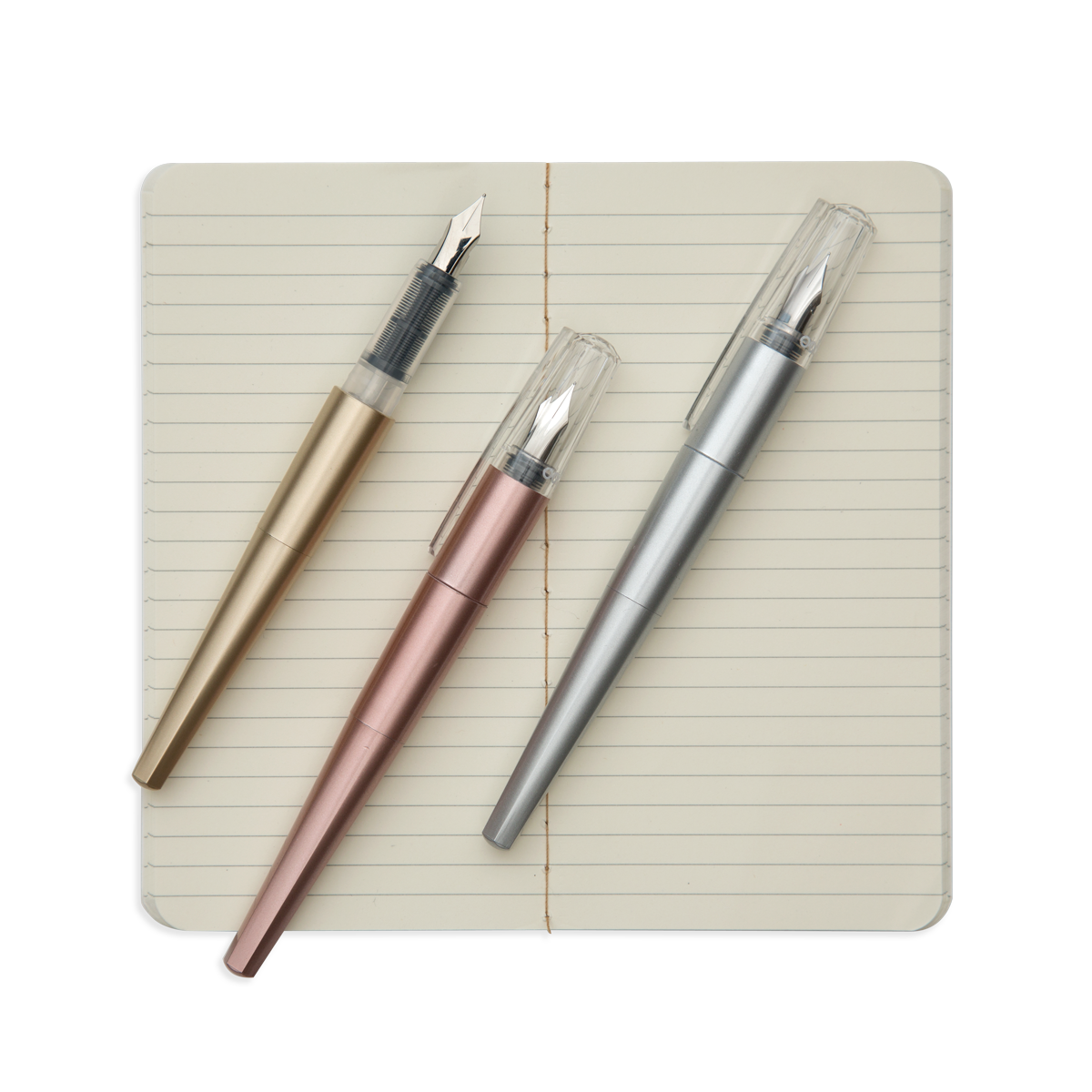 Modern Script Fountain Pens and Journal